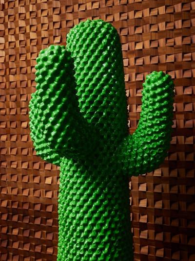 Guido Drocco Cactus Coatrack by Guido Drocco and Franco Mello