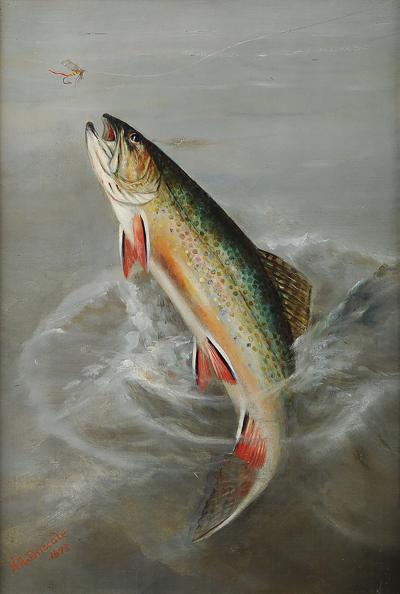 HARRY DRISCOLE JUMPING TROUT