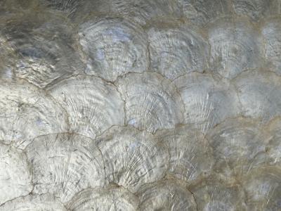 HOLLYWOOD REGENCY BRONZE CAPIZ SHELL HALL MIRROR WITH LOW CAPIZ SHELL CONSOLE