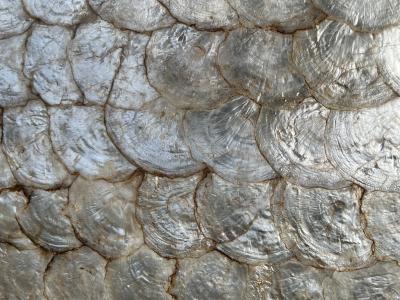 HOLLYWOOD REGENCY GILT BRONZE CAPIZ SHELL HALL MIRROR WITH CAPIZ SHELL CONSOLE