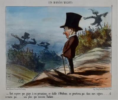HONOR DAUMIER Daumier Colored Lithographic Satire of a Man Concerned for His Vineyard and Wine