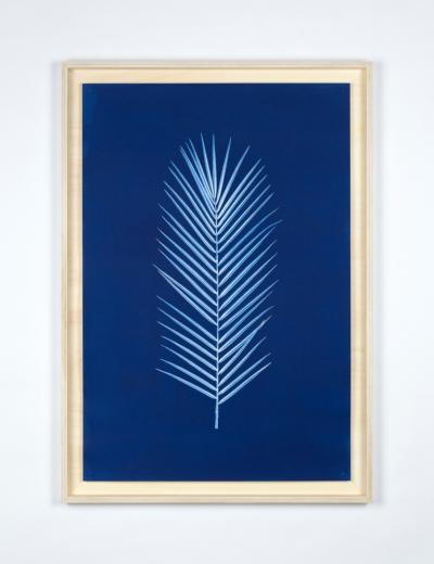 HUGO DEVERCH RE Cosmorama Recording Flora B Hugo DEVERCH RE