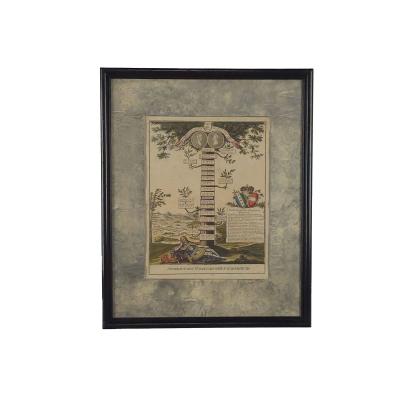 Habsburg Family Tree Hand Colored Engraving 18th century or earlier