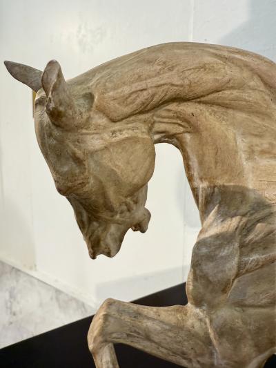 Hand Carved Anatomical Horse Model on Stand