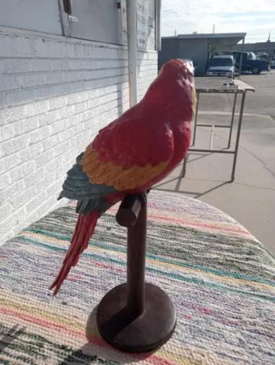 Hand Painted Parrot