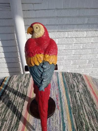 Hand Painted Parrot
