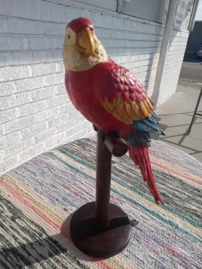 Hand Painted Parrot