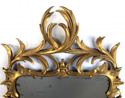 Hand carved Continental Rococo Revival Foliate Giltwood Mirror