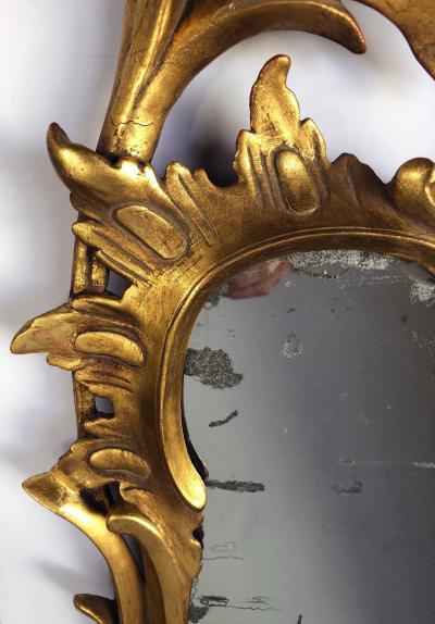 Hand carved Continental Rococo Revival Foliate Giltwood Mirror