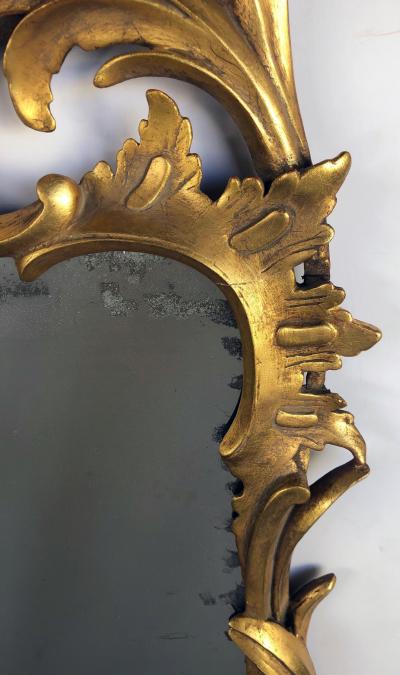 Hand carved Continental Rococo Revival Foliate Giltwood Mirror