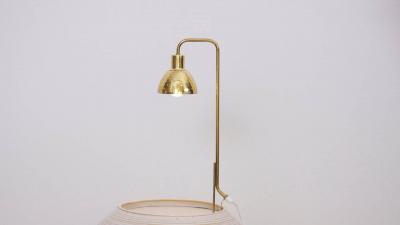Hans Agne Jakobsson Hans Agne Jakobsson Planter Lamp for Markaryd