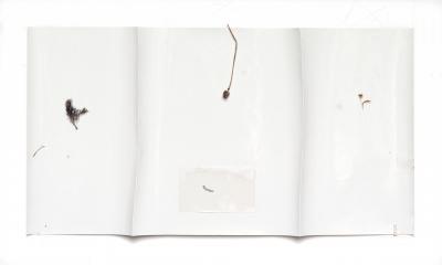 Harald Kr ner White river 18