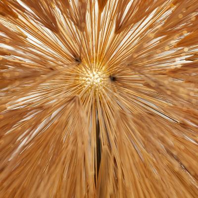 Harry Bertoia Harry Bertoia Gilt Bronze Brass and Steel Dandelion Sculpture
