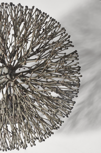Harry Bertoia Harry Bertoia Untitled Bush