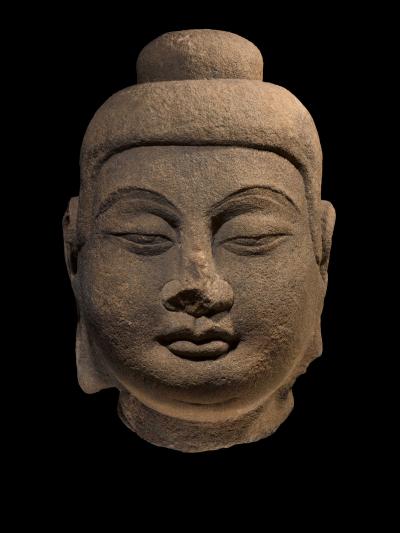 Head of Buddha Tang Dynasty