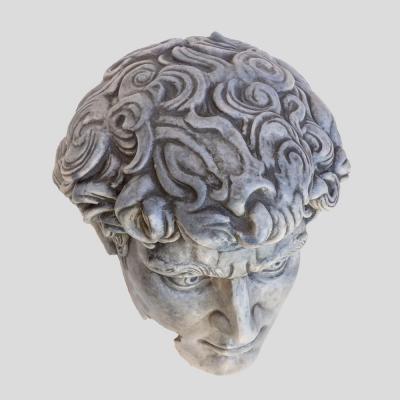 Head of David fiberglass sculpture