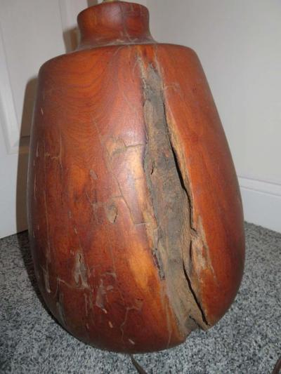 Heavy Large Organic Modern Manzanita Tree Root Lamp