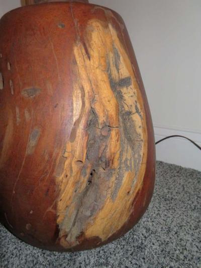 Heavy Large Organic Modern Manzanita Tree Root Lamp