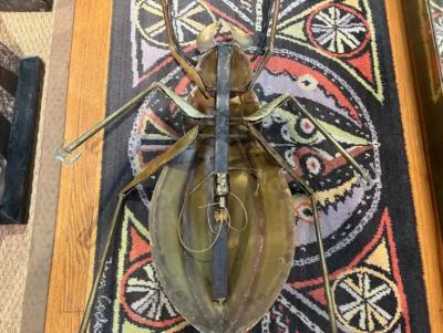 Henri Fernandez French Brutalist Brass Scarab Coffee Table Base