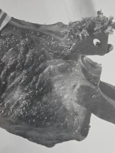 Henry Rox A Pork Chop Figure Diving Into a Frying Pan Photo Sculpture C 1944