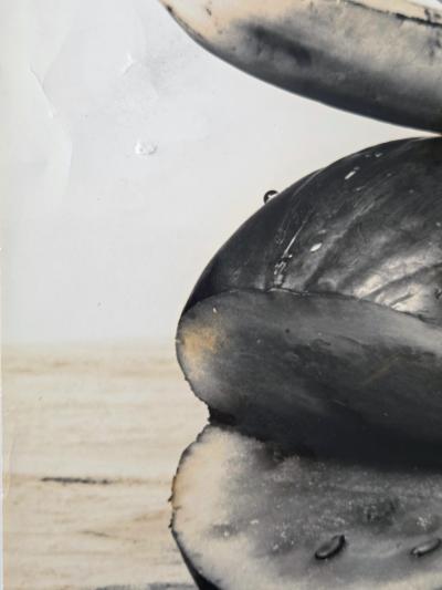 Henry Rox Banana Canoe on Watermelon Whale Vintage Silver Print c 1944