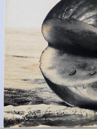 Henry Rox Banana Canoe on Watermelon Whale Vintage Silver Print c 1944