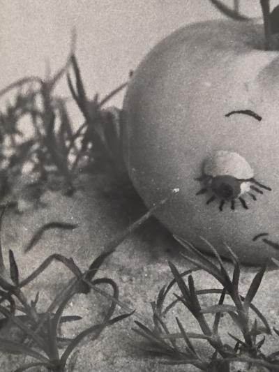 Henry Rox Henry Rox A Soft Carpet Tommy Apple 1934 Vintage Silver Print