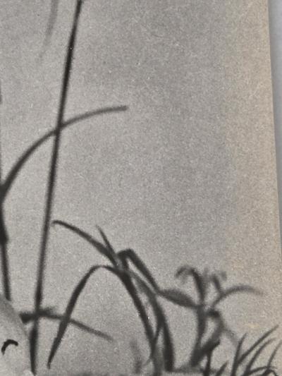 Henry Rox Henry Rox A Soft Carpet Tommy Apple 1934 Vintage Silver Print