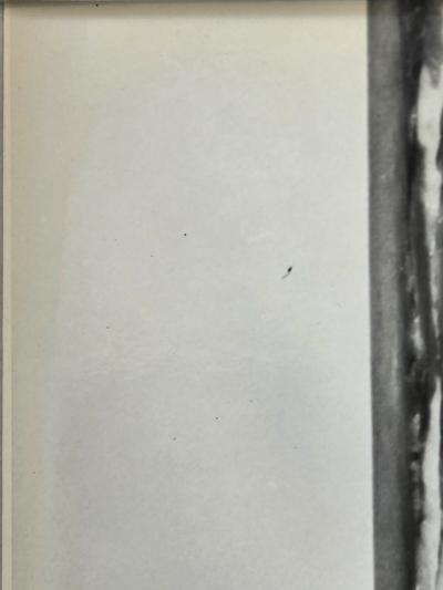 Henry Rox Henry Rox Art Critic Altered by Viewing Post War Abstract Painting 1948 