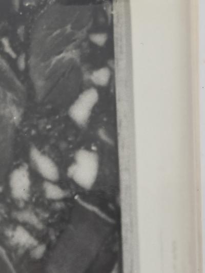 Henry Rox Henry Rox Art Critic in a Moment of Insight Before Post War Abstraction c 1948