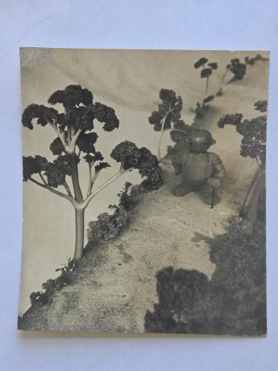 Henry Rox Henry Rox He was a Strange Little Figure Tommy Apple Banana land 1934 1940