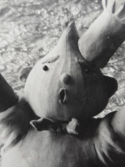 Henry Rox Henry Rox Mr Onion Shouting for Help 1936 Vintage Print