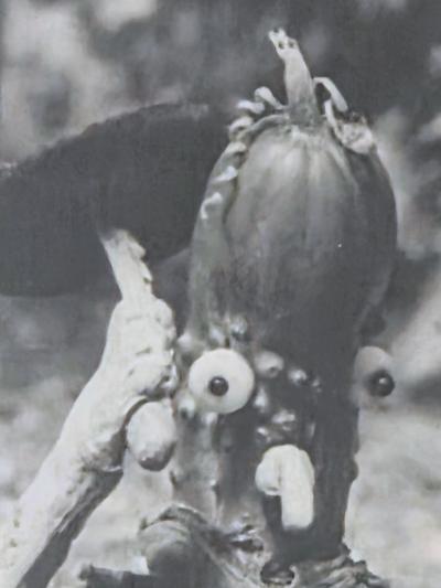 Henry Rox Henry Rox My Name is Cucumber He Said Silver Print c 1940