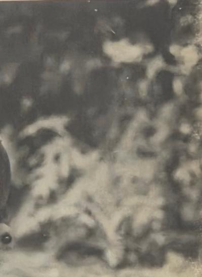 Henry Rox Henry Rox My Name is Cucumber He Said Silver Print c 1940