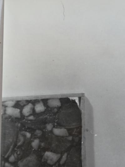 Henry Rox Henry Rox Venus Photo Sculpture from Modern Art Reflections c 1948 print