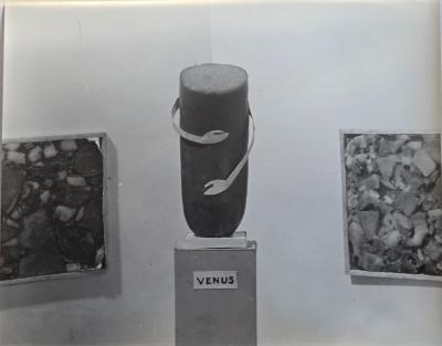 Henry Rox Henry Rox Venus Photo Sculpture from Modern Art Reflections c 1948 print