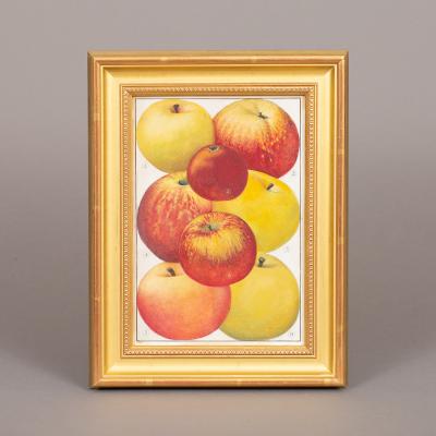 Herman Eggeling Apples