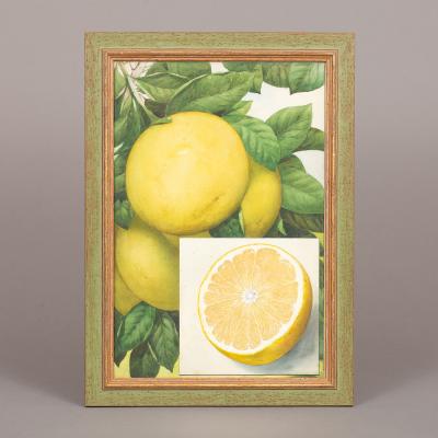 Herman Eggeling Grapefruit