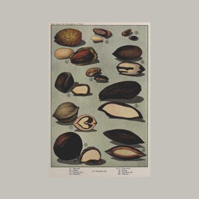 Herman Eggeling Walnuts