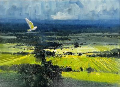 Herman Pekel Soaring Toowoomba