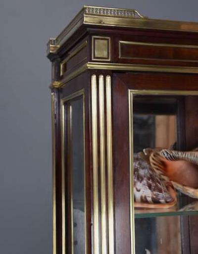 Highly decorative French Directoire style mahogany vitrine or display cabinet