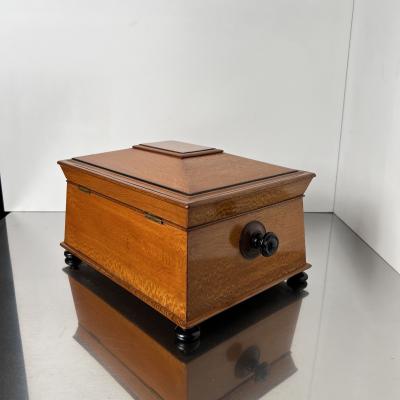 Historicism Box Floral Ash Veneer Rosewood Austria circa 1880