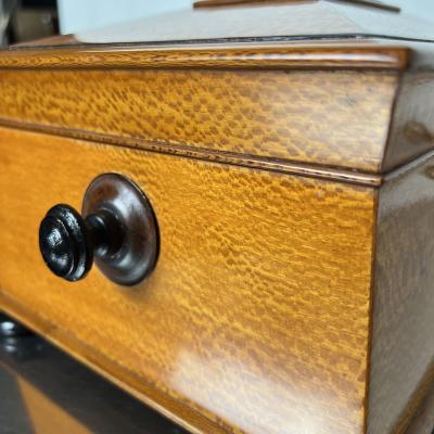 Historicism Box Floral Ash Veneer Rosewood Austria circa 1880