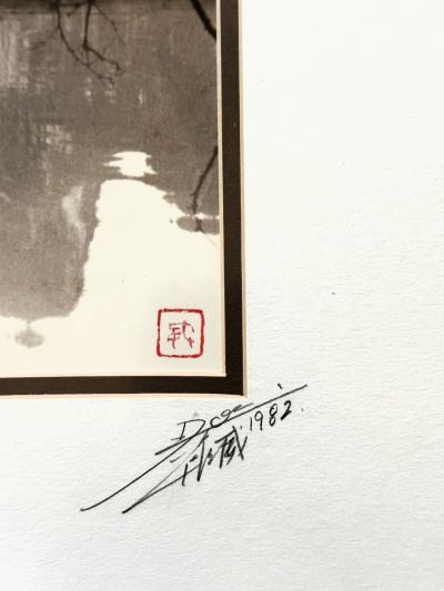 Hong Oai Don Framed Landscape Photograph by Don Hong Oai