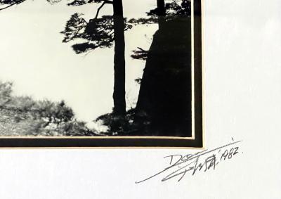 Hong Oai Don Framed photograph by Don Hong Oai