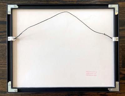 Hong Oai Don Framed photograph by Don Hong Oai