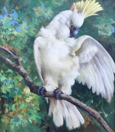 Honore Theodore Camos Yellow Crested Cockatoo 