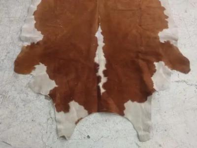 Houston Livestock Show and Rodeo Brown and White Cowhide