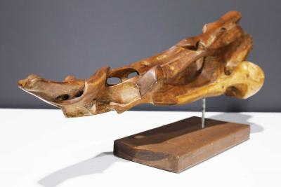 Huez Dominguez Organic Wood Sculpture Mounted on Base Signed
