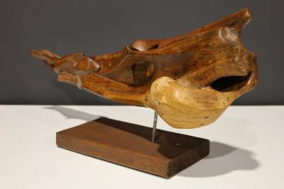 Huez Dominguez Organic Wood Sculpture Mounted on Base Signed